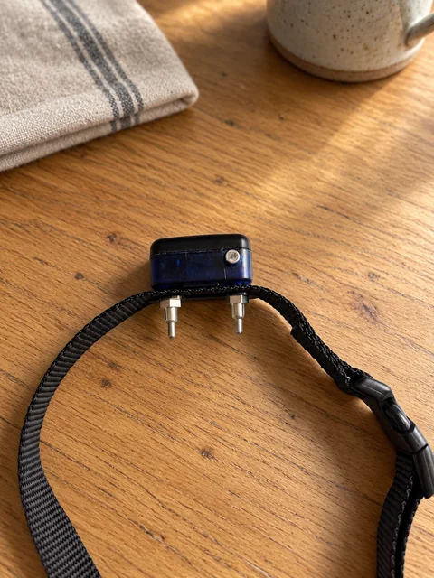 EcoLite fence receiver attached to its collar strap on an oak table