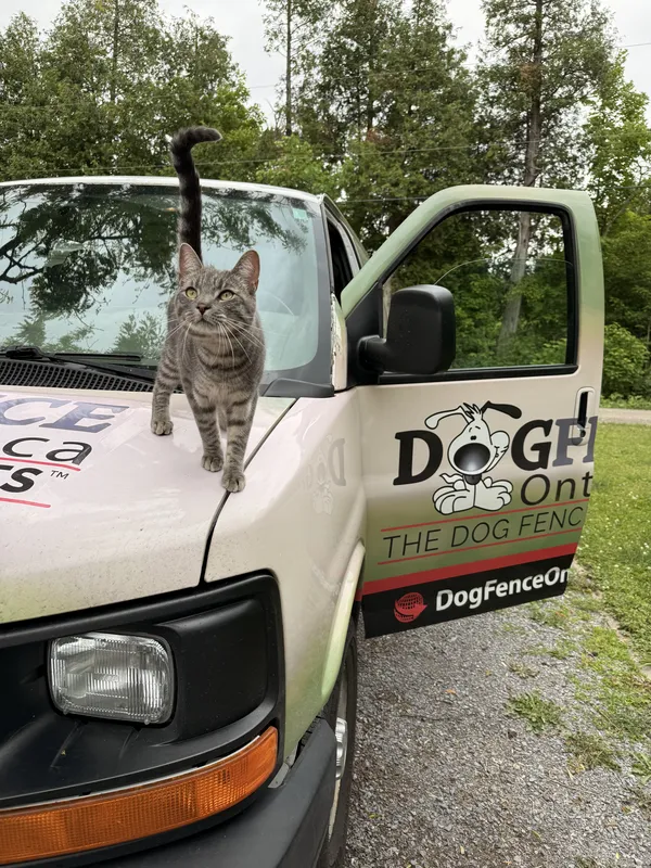 Cat on Dog Fence Ontario van during installation visit — Simcoe County